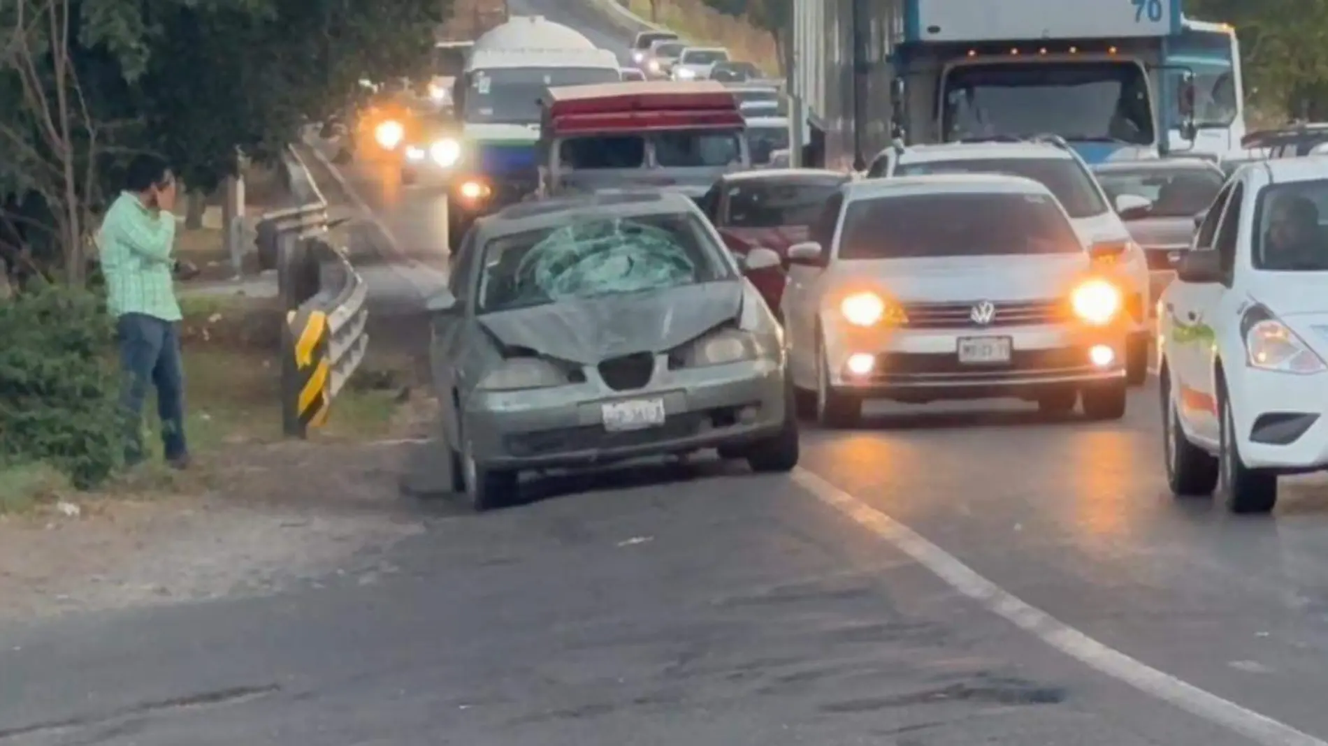 Atropellado carretera Chapala